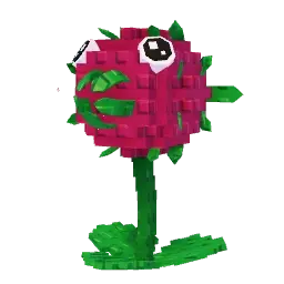 Dragon Fruit